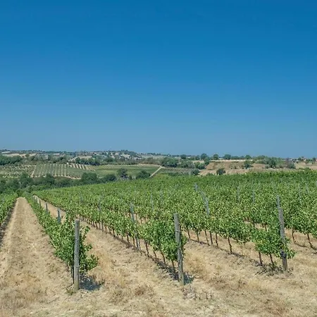 ヴィラ Scappo In Umbria, Il Maraldo