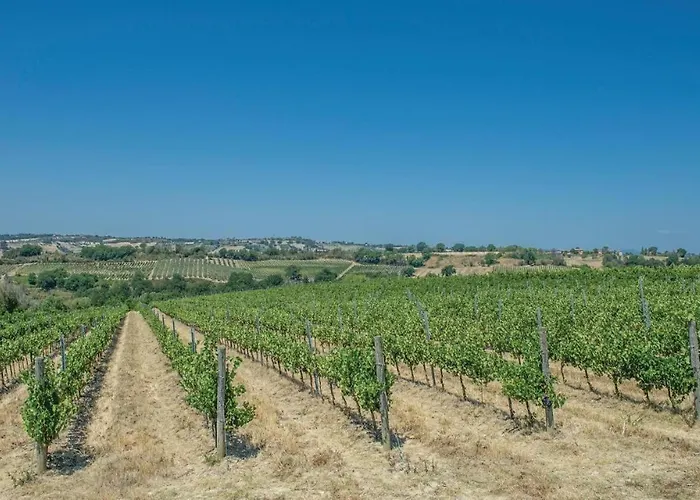 Willa Scappo In Umbria, Il Maraldo